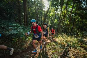 BIB: 2493
                            <button type="button" onclick="openModal(22544529)" class="btn btn-primary btn-sm float-right btn-popup" data-toggle="modal" data-target=".modal-high-quality">
                        <i class="fas fa-shopping-cart"></i> Add to Cart
                    </button>
                                            <button type="button" onclick="isThisMe(22544529, true)" class="btn btn-success btn-sm float-right btn-popup btn-isme hidden" data-toggle="tooltip" data-placement="bottom" title="นี่คือรูปของคุณใช่ไหม คลิกที่นี่เพื่อเอาเข้าอัลบั้ม">
                        <i class="fas fa-plus"></i> Add to album
                    </button>
                    <button type="button" onclick="isThisMe(22544529, false)" class="btn btn-warning btn-sm float-right btn-popup btn-isnotme hidden">
                        <i class="fas fa-ban"></i> Remove from album
                    </button>